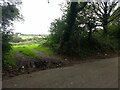 Footpath into farmland