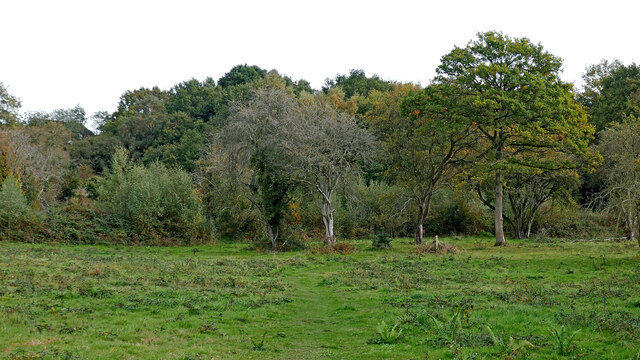 Grass and woodland west of Sutton Farm,... © Roger Kidd cc-by-sa/2.0