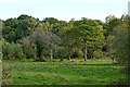 Grass and woodland near Sutton Farm, Kidderminster