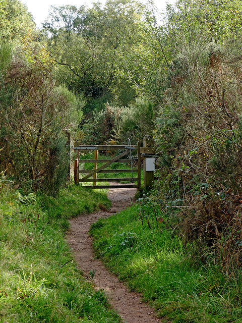 Track on the Rifle Range Nature Reserve in Worcestershire