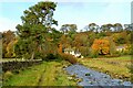 River Nent near Lovelady Shield