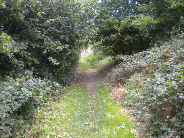 Public footpath off Old Road, Heage