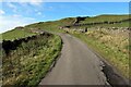 Minor road near East Cocklake