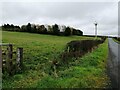 Fields near Walston