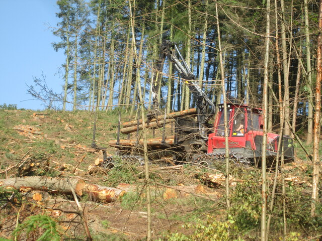 Loading  timber  Dalby  Forest