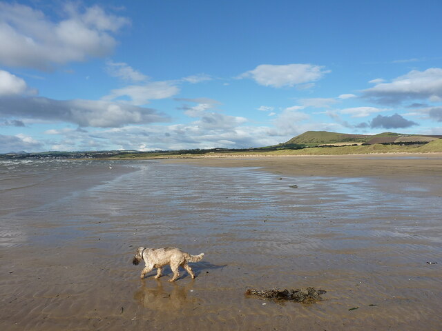 Even Dafter dog on the beach at... © Richard Law :: Geograph Britain ...