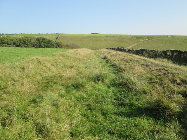 Cross  Dyke  going  down  into  Black  Griff