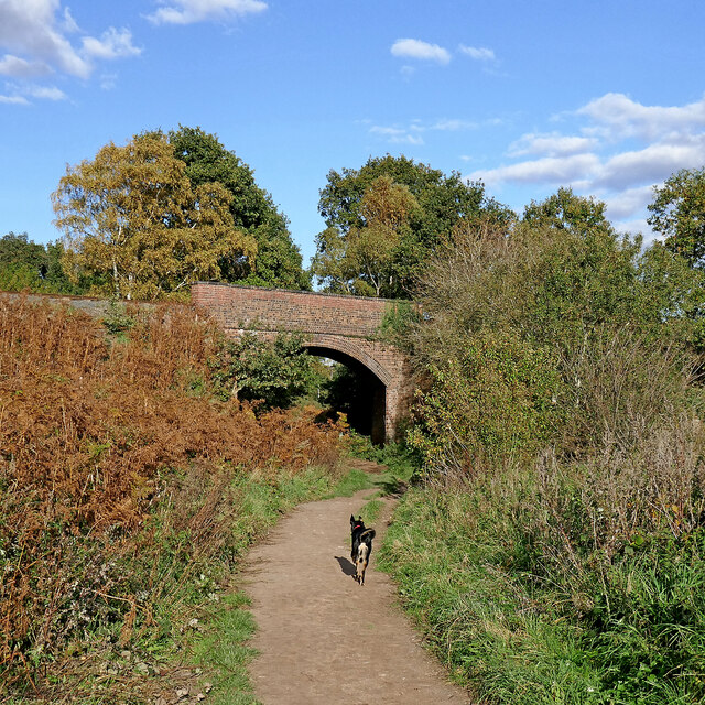 Bridleway and bridge with dog