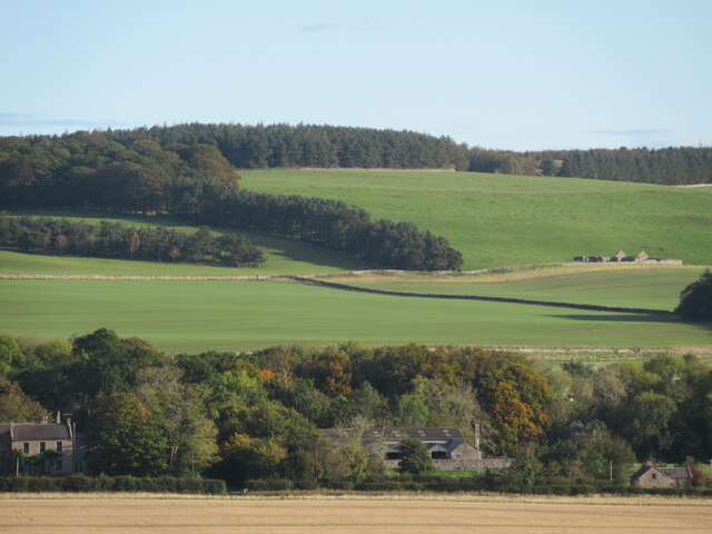 Preston Plantation in The Scottish Borders