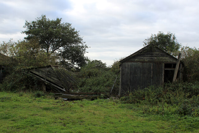 Wooden Sheds in a State of Disrepair, near West Bergholt