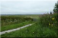 Gate beside the Dee estuary