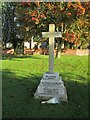 War  memorial  on  green  with  St  Cuthberts  Behind