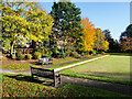 Trees alongside bowling green