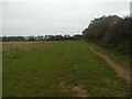 A field at Connor Downs