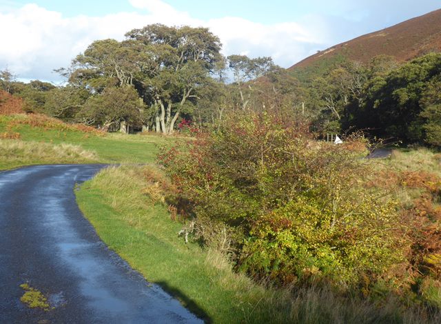 The road down the Harthope valley