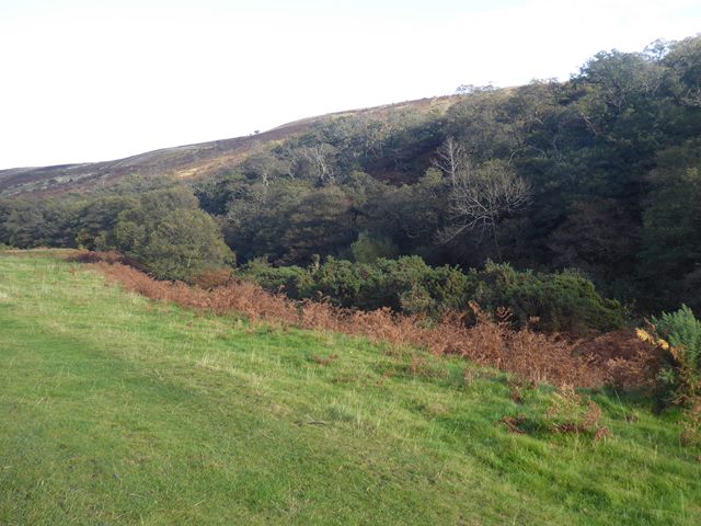 Harthope valley in autumn
