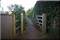 Thames path towards Wharf Road, Shillingford