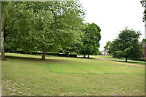 SU8486 : Higginson Park by N Chadwick