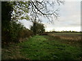 Behind the hedge, Nocton Road