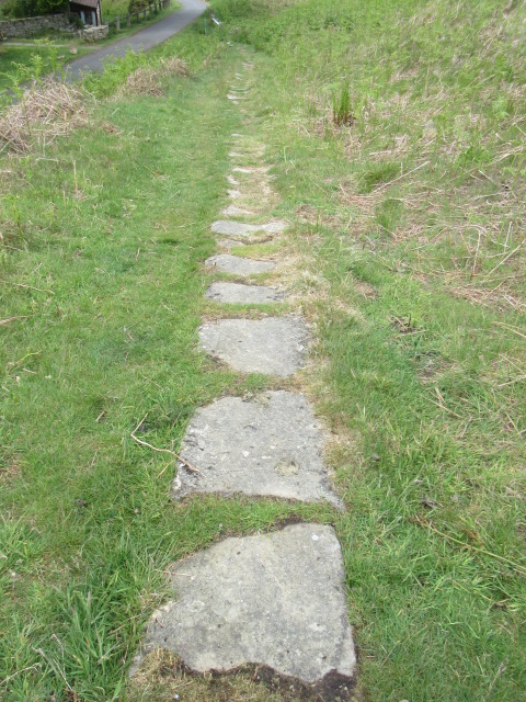 Stone Trod near Castleton