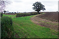 Bridleway at Pineham Farm