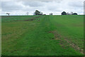 SP8244 : Bridleway near Pineham Farm by Stephen McKay