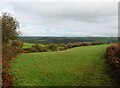 Farmland beside Pool Lane