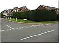 Dark green hedge on a Pilton Vale corner, Newport