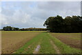 TL9831 : Essex Way heading away from Holly Lodge Farm by Chris Heaton