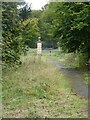 Overgrown path and unused gates, Kingston Lacy