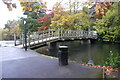 Footbridge over Swan Pool at Priory Park (Great Malvern)