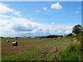 SO7869 : Bales and farmland near Dunley by Mat Fascione