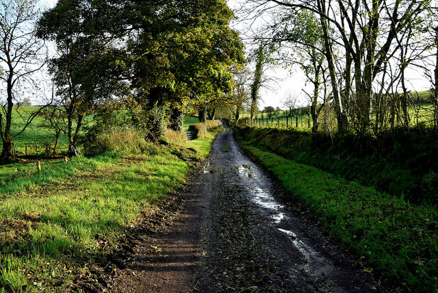 A mucky road at Cavanreagh