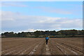 Essex Way crosses another Ploughed Field near Langham