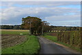 Quiet Lane in the Scattered Community of Langham