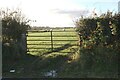 Field gateway on NW side rural road