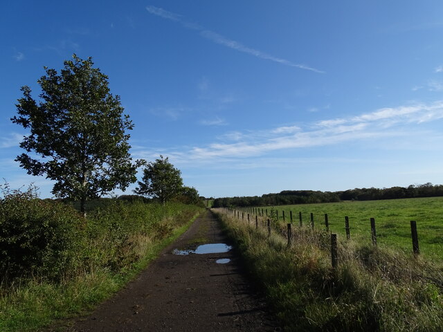 The road up to Morrow Edge farm © Robert Graham :: Geograph Britain and ...