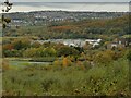 Esholt sewage works see from Spring Wood