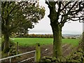 Grazing land at Hawkstone Farm