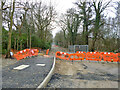 Steers Lane is closed, 2015