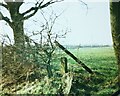 SD6406 : Long Lane, Westhoughton - 15th February 1990 by Lliam Heavey