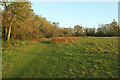 SX8667 : Whilborough Common by Derek Harper