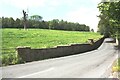 Road heading NW from entrance to Eshton Hall