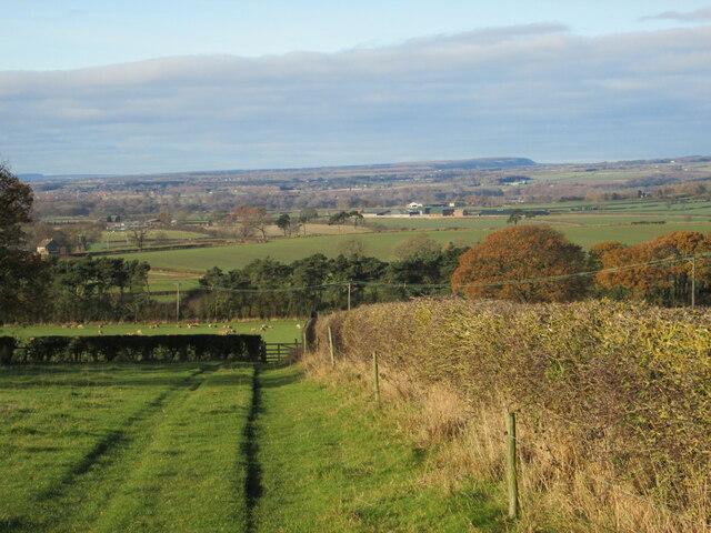 Normanby Hill © T Eyre cc-by-sa/2.0 :: Geograph Britain and Ireland