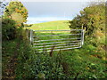 Gate adjacent to footpath