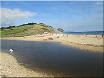 SY3693 : Charmouth beach by T  Eyre