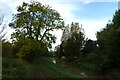 Muddy path along the Foss