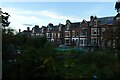 Allotments near Wentworth Road