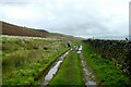 Bridleway below Broomber