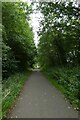 Rail path near Westbourne Road